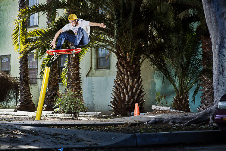 TomKarangelov ollie 1 lb alexpires thrasher web DZ