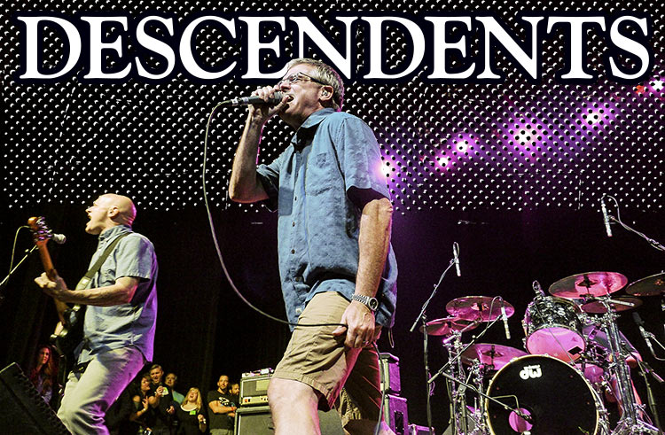 Descendents Intro 750px