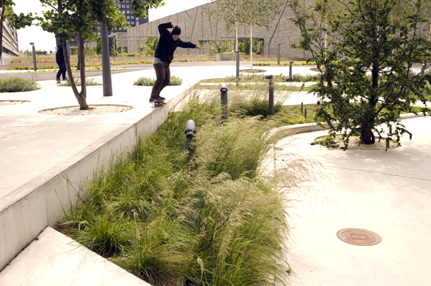 Burnout: Forest of Stoke