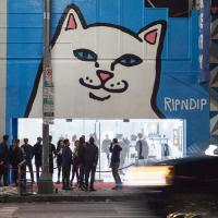 RIPNDIP Pop-Up Shop