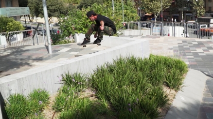 Matt Miller's "Visual" Part