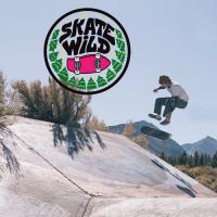 Skate Wild Trips 2022