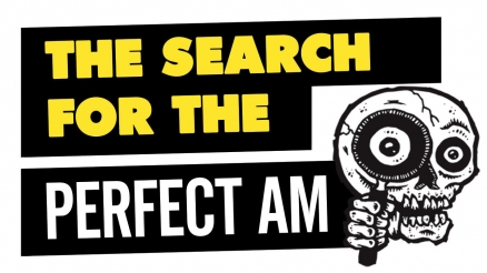 The Search For The Perfect Am