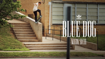 Mark Suciu's "Blue Dog" Adidas Part